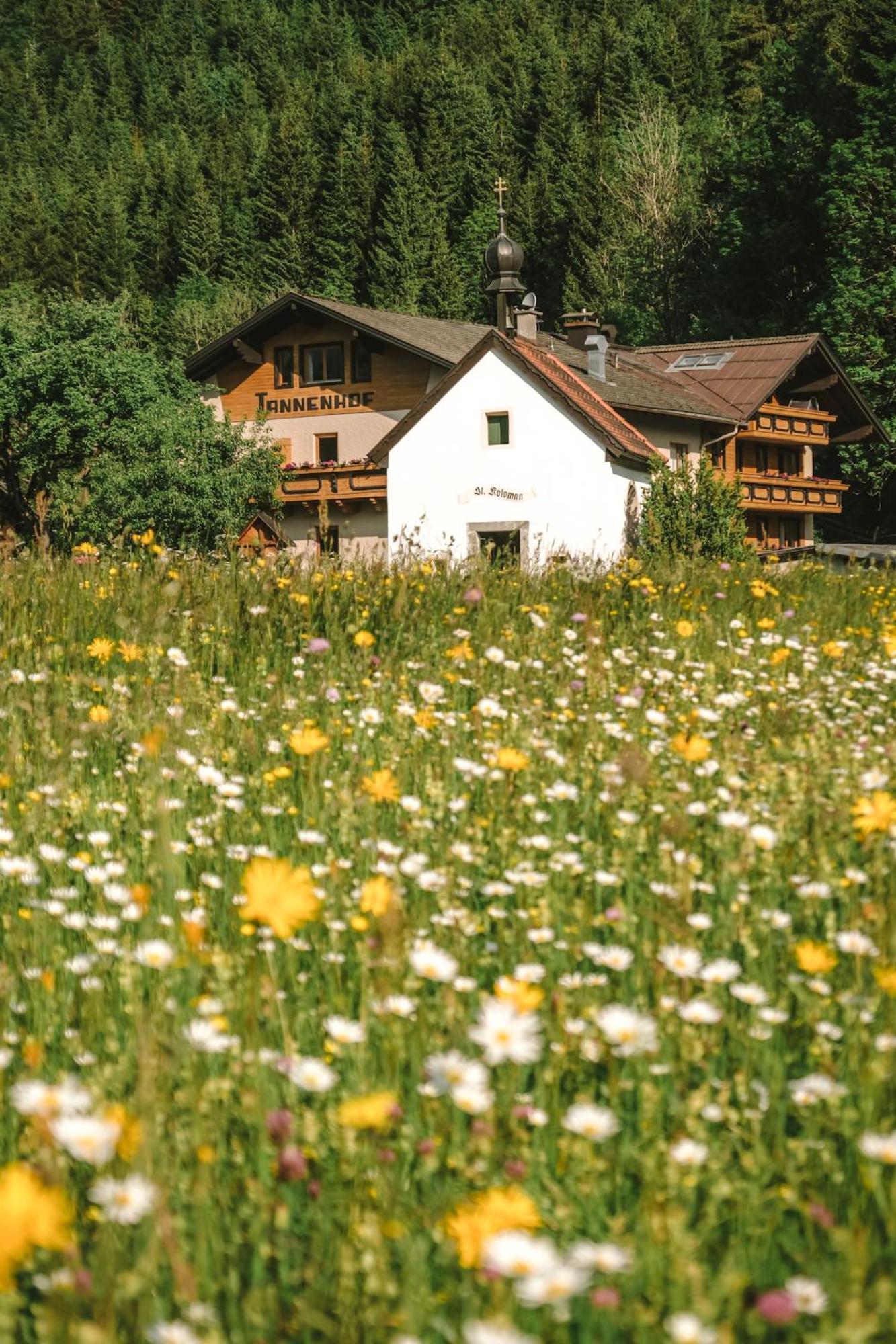 Hotel Der Tannenhof Reutte Exterior foto